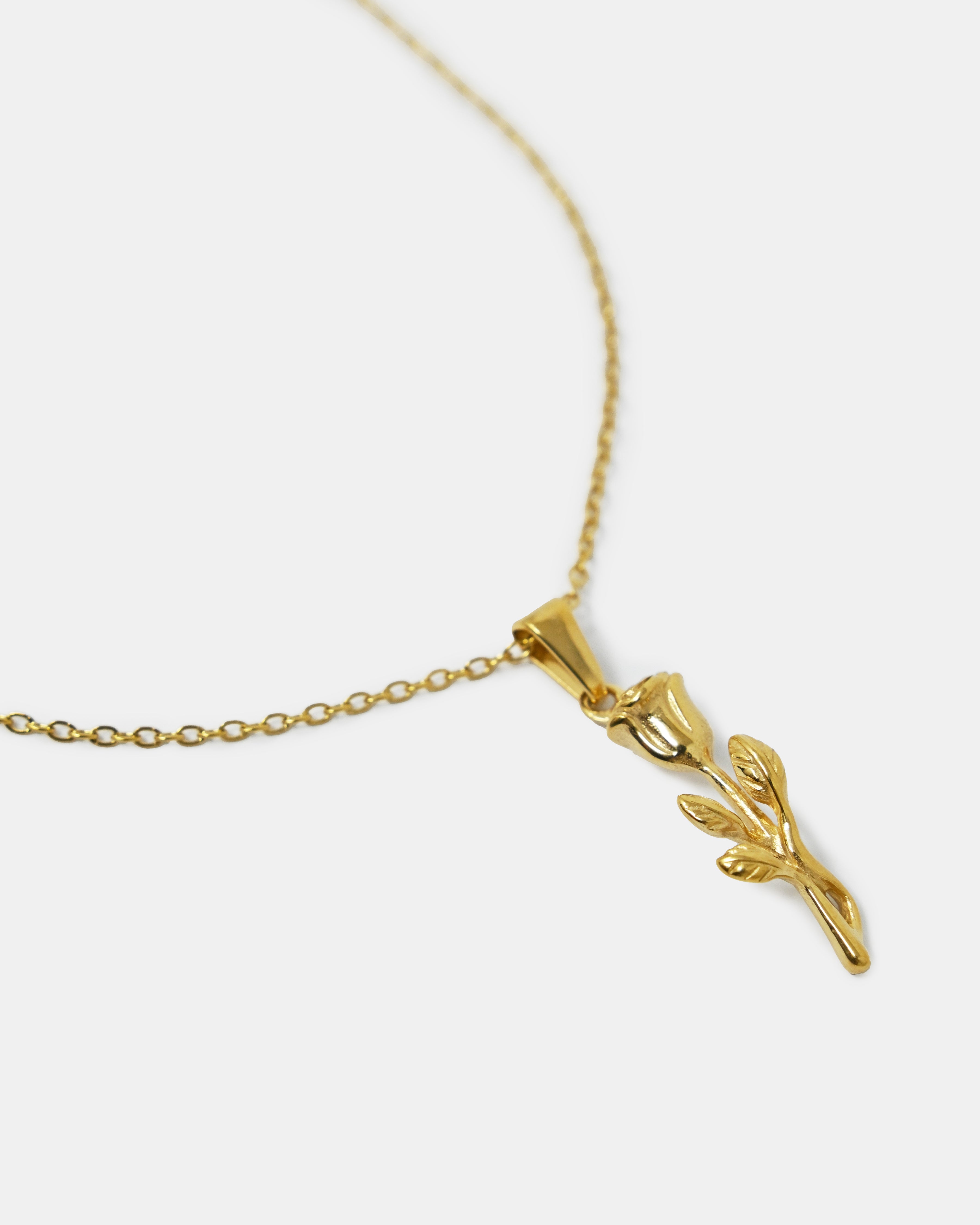 Quiet Rose - Gold